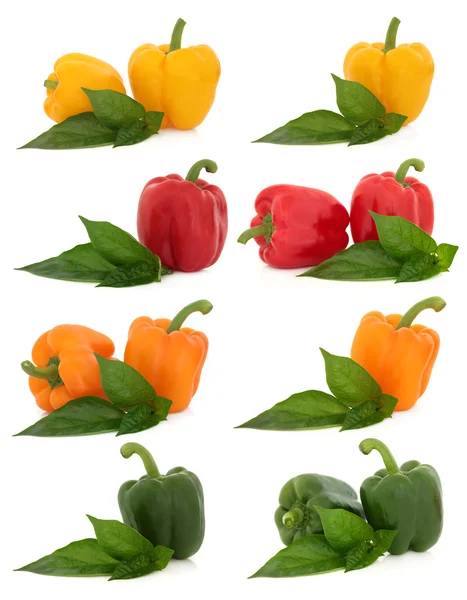 Pepper Selection — Stock Photo, Image