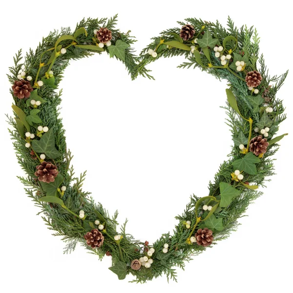 Natural Christmas Wreath — Stock Photo, Image