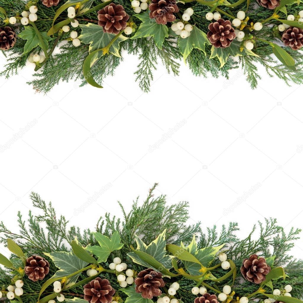 Christmas Greenery Border