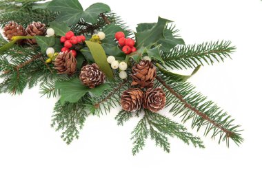 Dekoratif çiçek görüntüleme