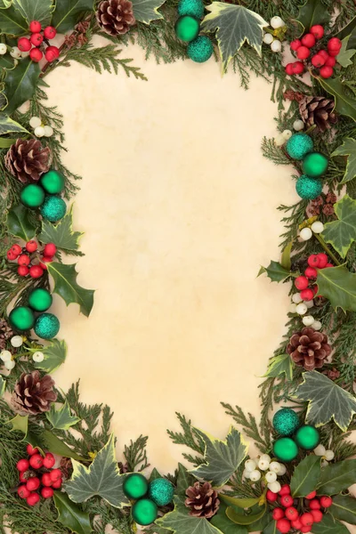 Christmas Flora and Baubles — Stock Photo, Image