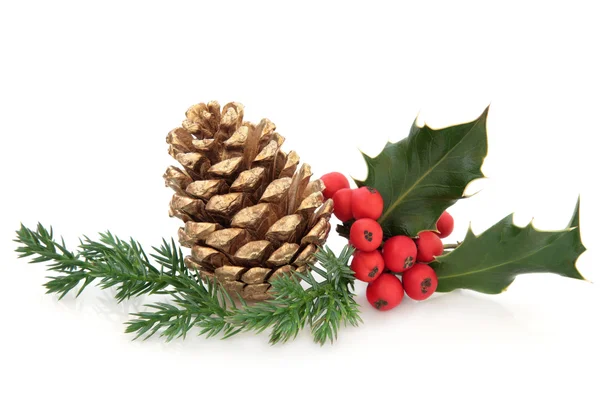 Holly en pine cone-decoratie — Stockfoto