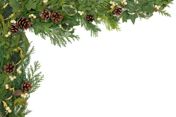 Christmas greenery Stock Photos, Royalty Free Christmas greenery Images