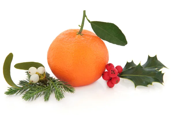 Boże Narodzenie owoców — Zdjęcie stockowe