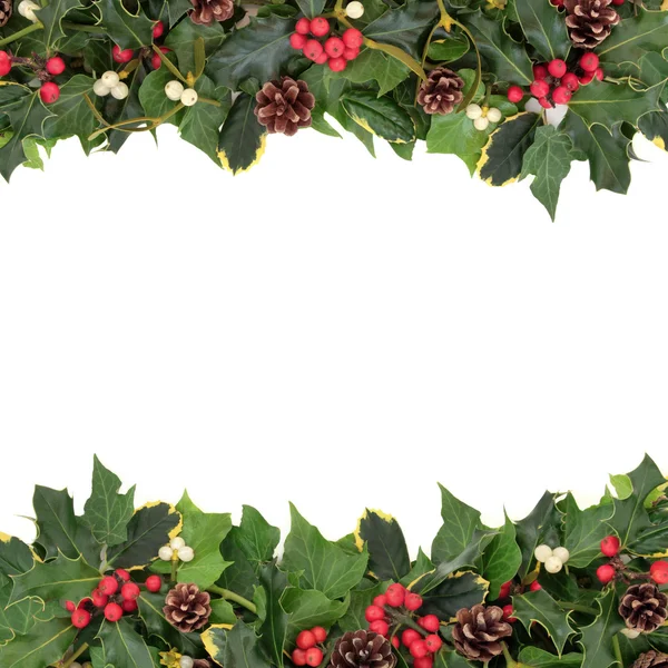 Kerstmis floral grens — Stockfoto