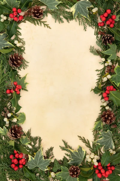 Traditional Christmas Border — Stock Photo, Image