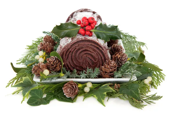 Registo de Yule de chocolate — Fotografia de Stock