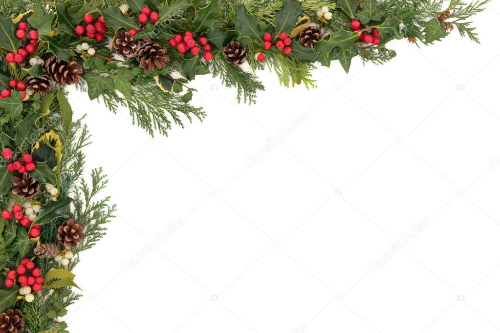 Christmas Floral Border