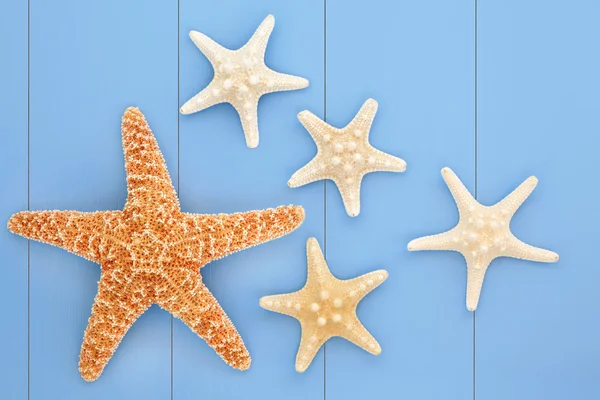 Sea Stars — Stock Photo, Image