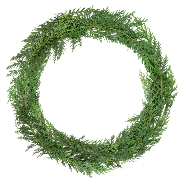 Cedar Cypress Wreath — Stock Photo, Image