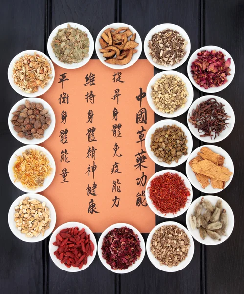 Chinese healing kruiden — Stockfoto