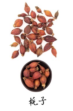 gardenya meyve