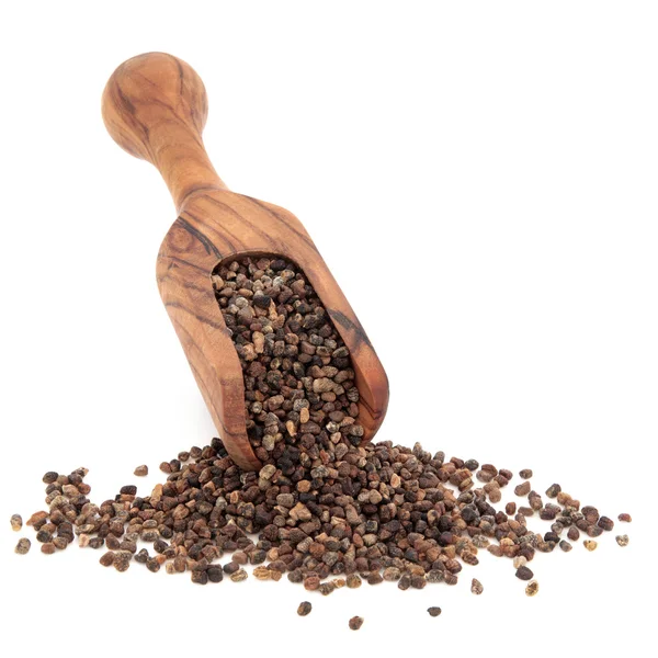 Coriander Seed — Stock Photo, Image