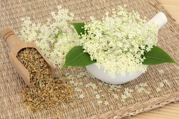 Meadowsweet 허브 — 스톡 사진