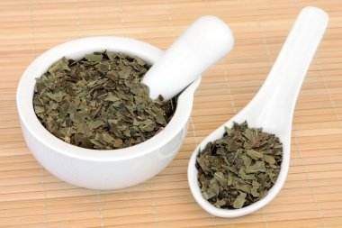 Neem Herb