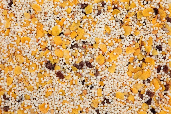 Gluten vrije muesli — Stockfoto