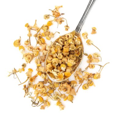 Papatya bitki çiçek