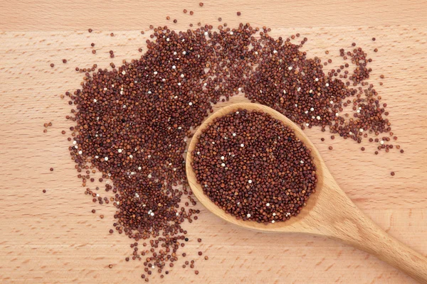 Ekologisk quinoa grain — Stockfoto