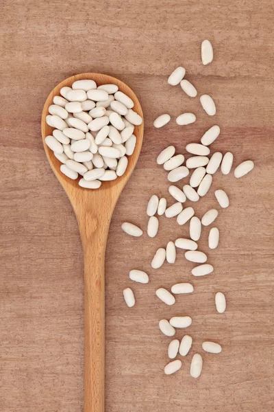 Haricot Beans — Stock Photo, Image