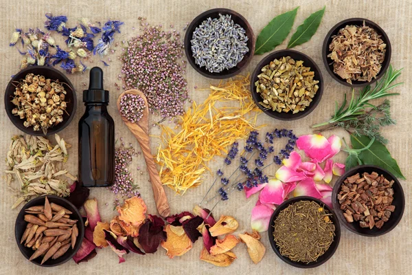 Geneeskunde van Naturopathic — Stockfoto