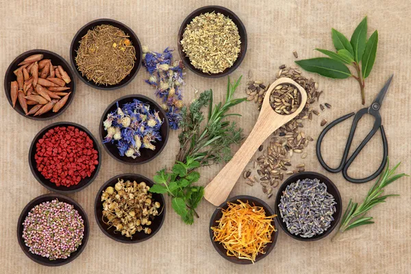 Herbal Medicine — Stock Photo, Image