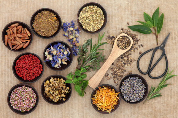 Herbal Medicine