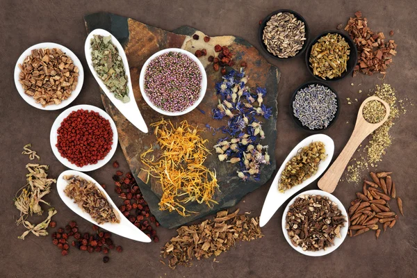 Herbal Medicine — Stock Photo, Image