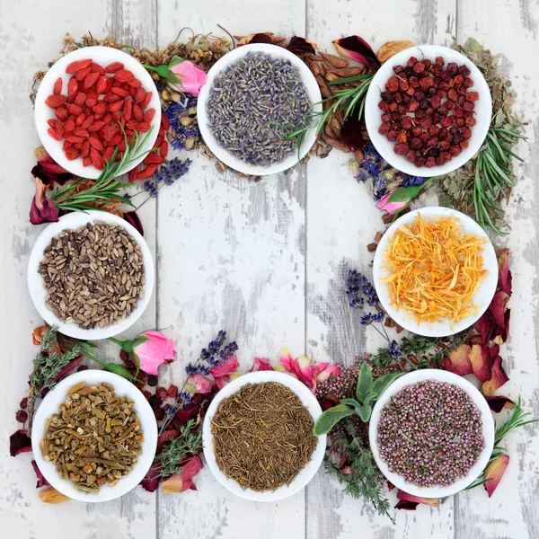 Medicinal Herbs — Stock Photo, Image