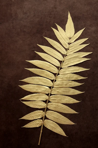 Złoty liść uroda — Zdjęcie stockowe