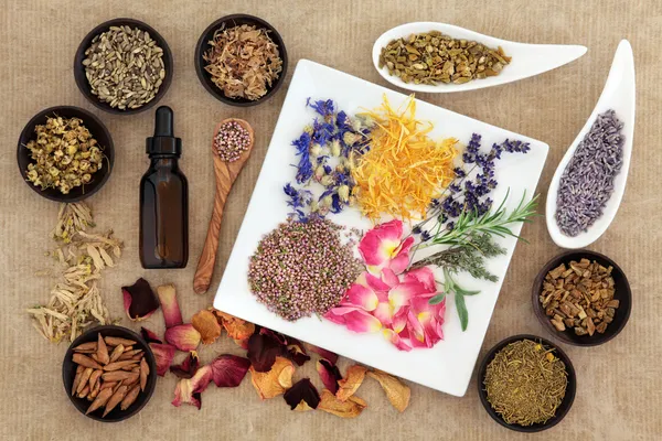 Magical and Medicinal Herbs — Stock Photo, Image