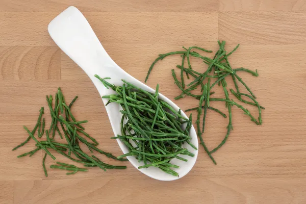 Samphire. — Foto de Stock