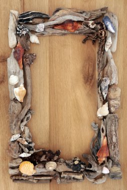 Driftwood meşe sınır