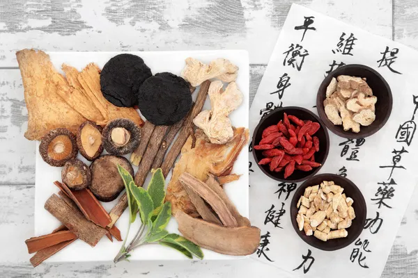 Medicina herbal china — Foto de Stock