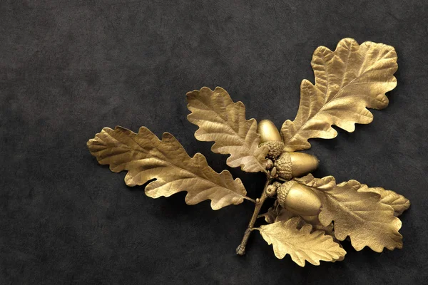 Golden Oak Leaf Beauty — Stock Photo, Image