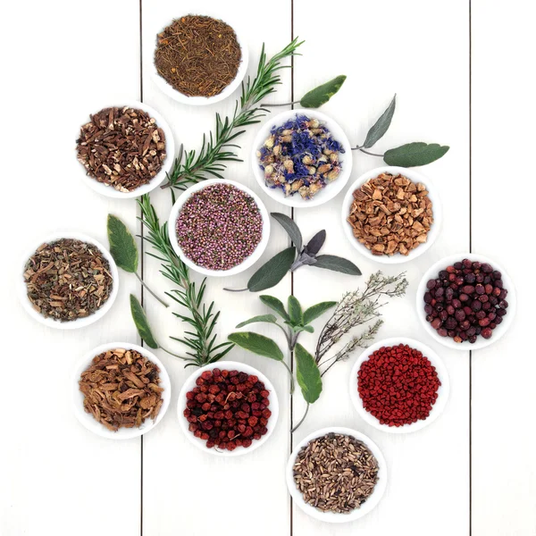 Herbal Medicine — Stock Photo, Image