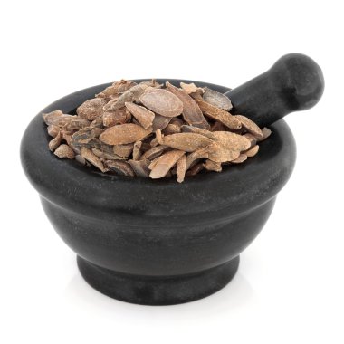 zerdeçal curcuma kök