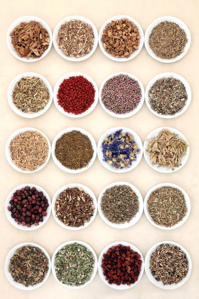 Naturopathic Herbs — Stock Photo, Image