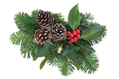 Kış yeşillikler içinde