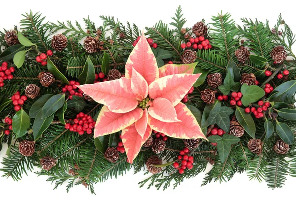 Winter Floral Decoration — Stock Photo, Image