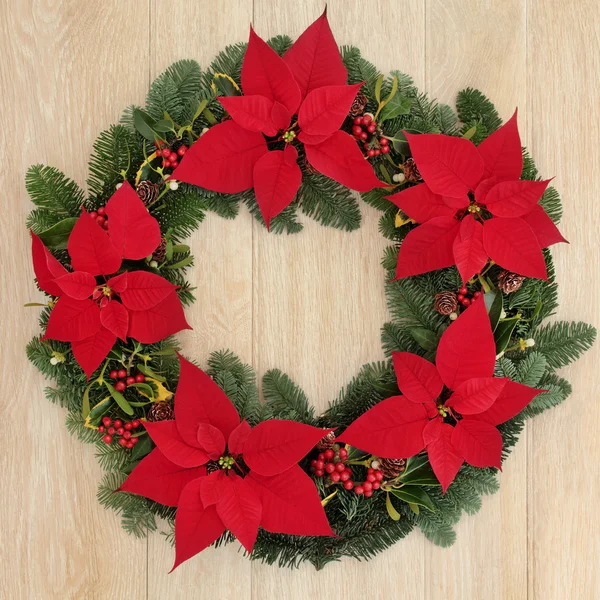 Poinsettia στεφάνι — Φωτογραφία Αρχείου