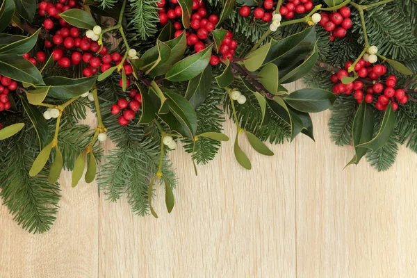 Holly and Mistletoe Border — Stock Photo, Image