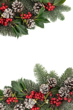 Festival kış kenarlık