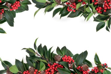 Holly berry kenarlık