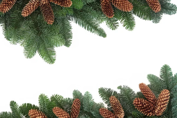 Fir and Pine Cone Border — Stock Photo, Image