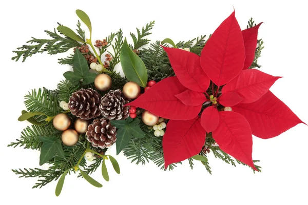 Christmas Floral Display — Stock Photo, Image