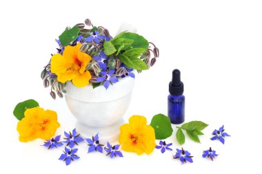 Borage, Nane ve Nasturtium bir havan topunda esaslı yağ şişesi, bağışıklık güçlendirici ve bitkisel ilaç tedavilerinde kullanılan iltihaplı bitkiler, grip, bronşit ve öksürük ilaçları.. 