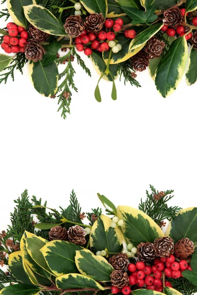 Holly Border — Stock Photo, Image