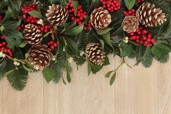 Holly and Pine Cone Border — Stock Photo, Image