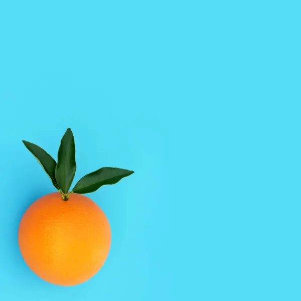 Sommersonne Orange Zitrusfrüchte Mit Blattzweigen Zur Stärkung Des Immunsystems Auf — Stockfoto