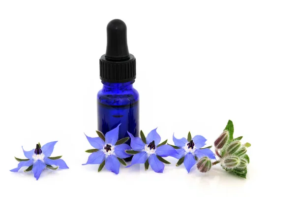 Flores Hierba Borraja Con Botella Aceite Esencial Utilizado Medicina Herbal — Foto de Stock